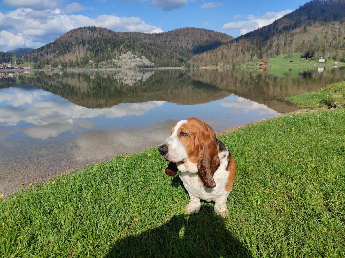 Chata Natasa Dedinky Buitenkant foto